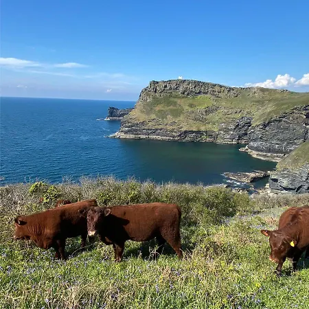 Polrunny Farm Sloe With A Sea View Apartment Boscastle