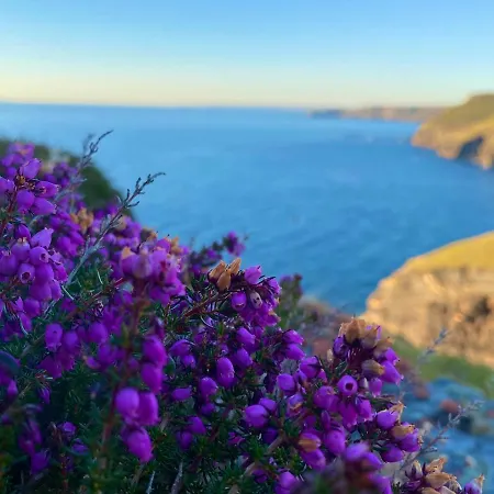 Polrunny Farm Sloe With A Sea View Boscastle