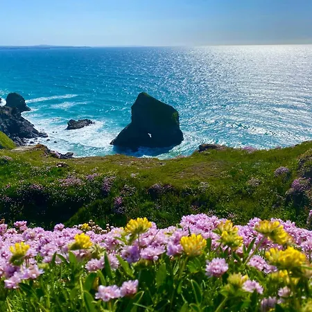 Polrunny Farm Sloe With A Sea View